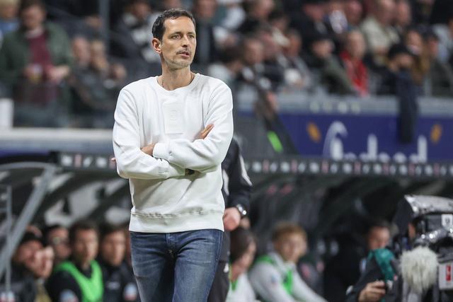 我们赢了个, 成功